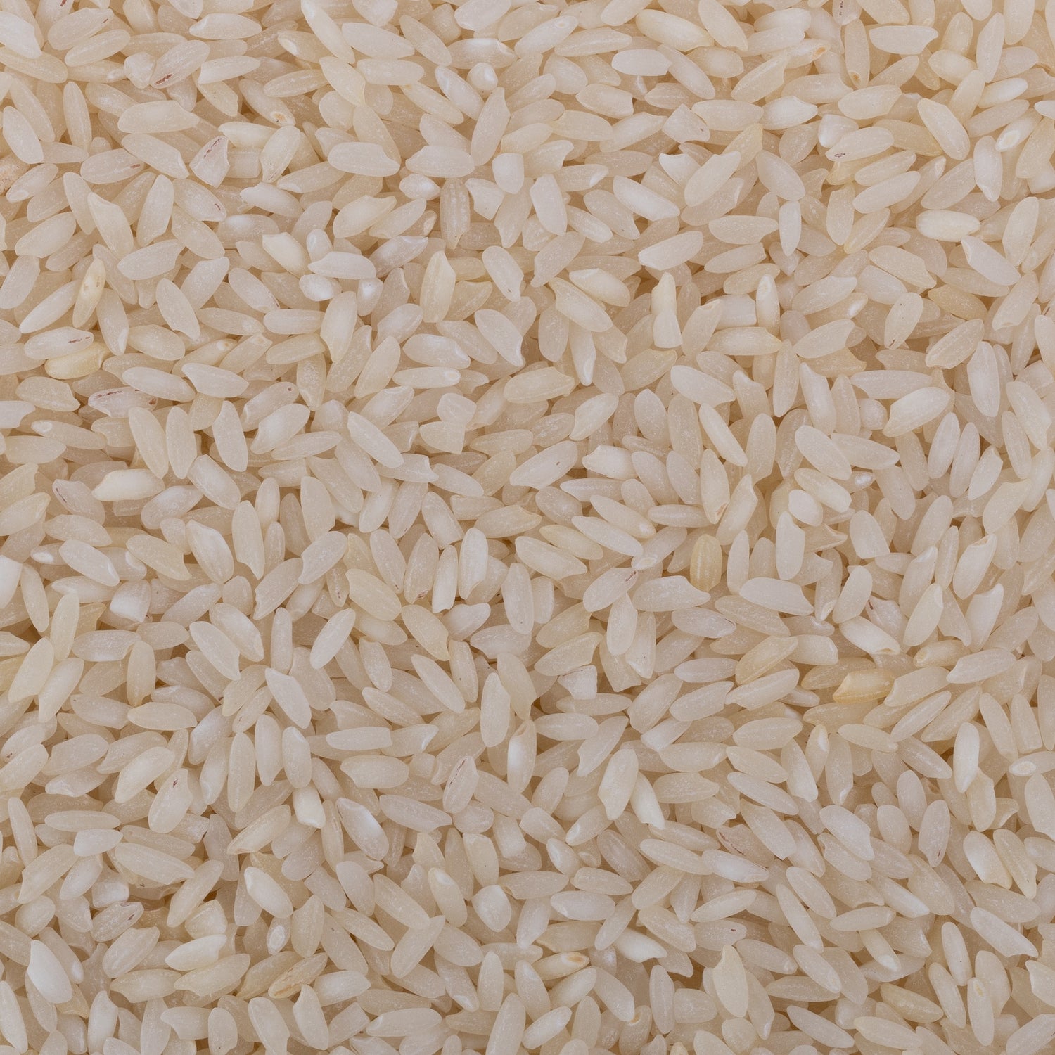 Stony Ambemohar Rice (Semipolished)