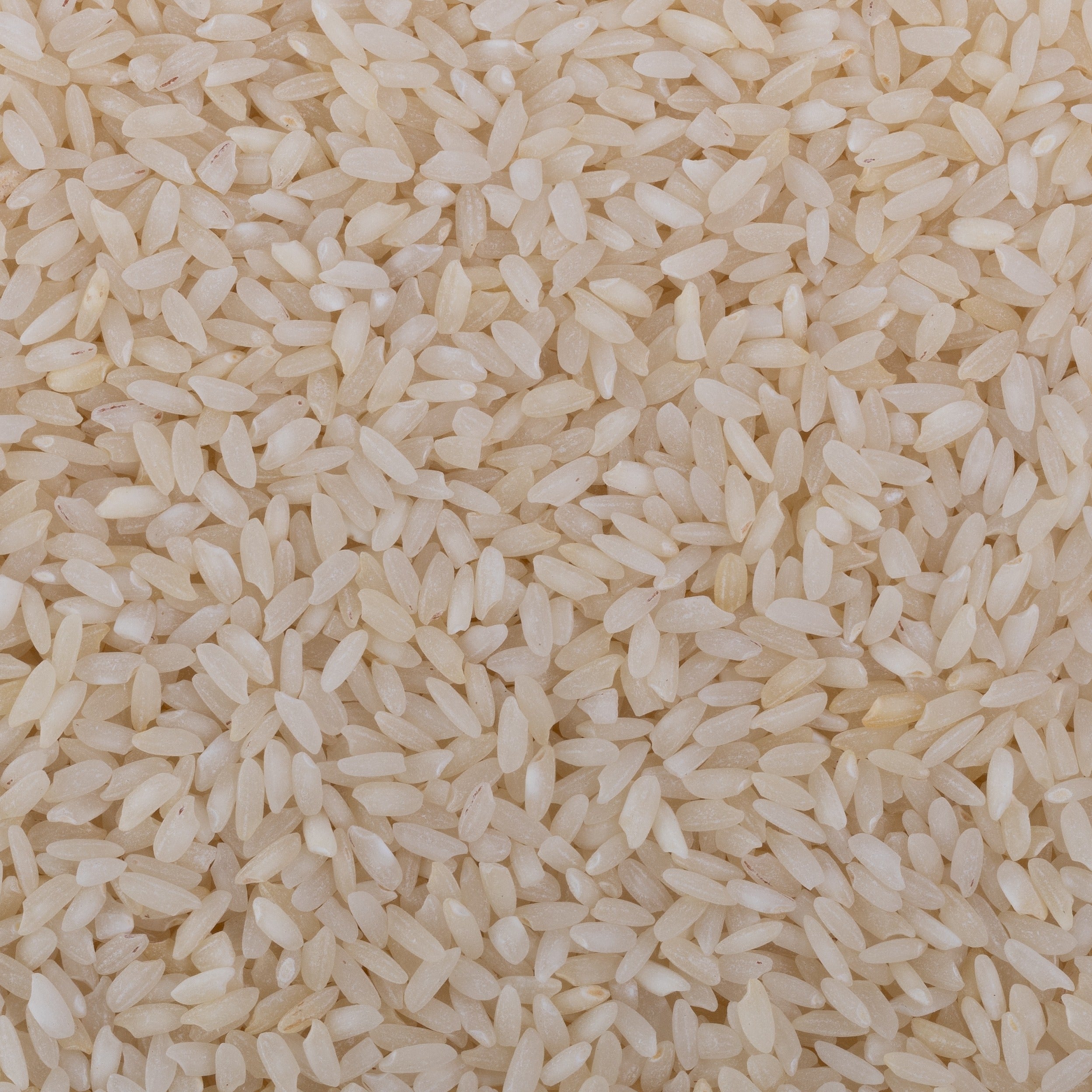 Stony Ambemohar Rice (Semipolished)