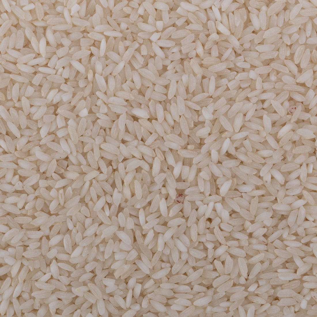 Surti Kolam Rice (Semipolished)