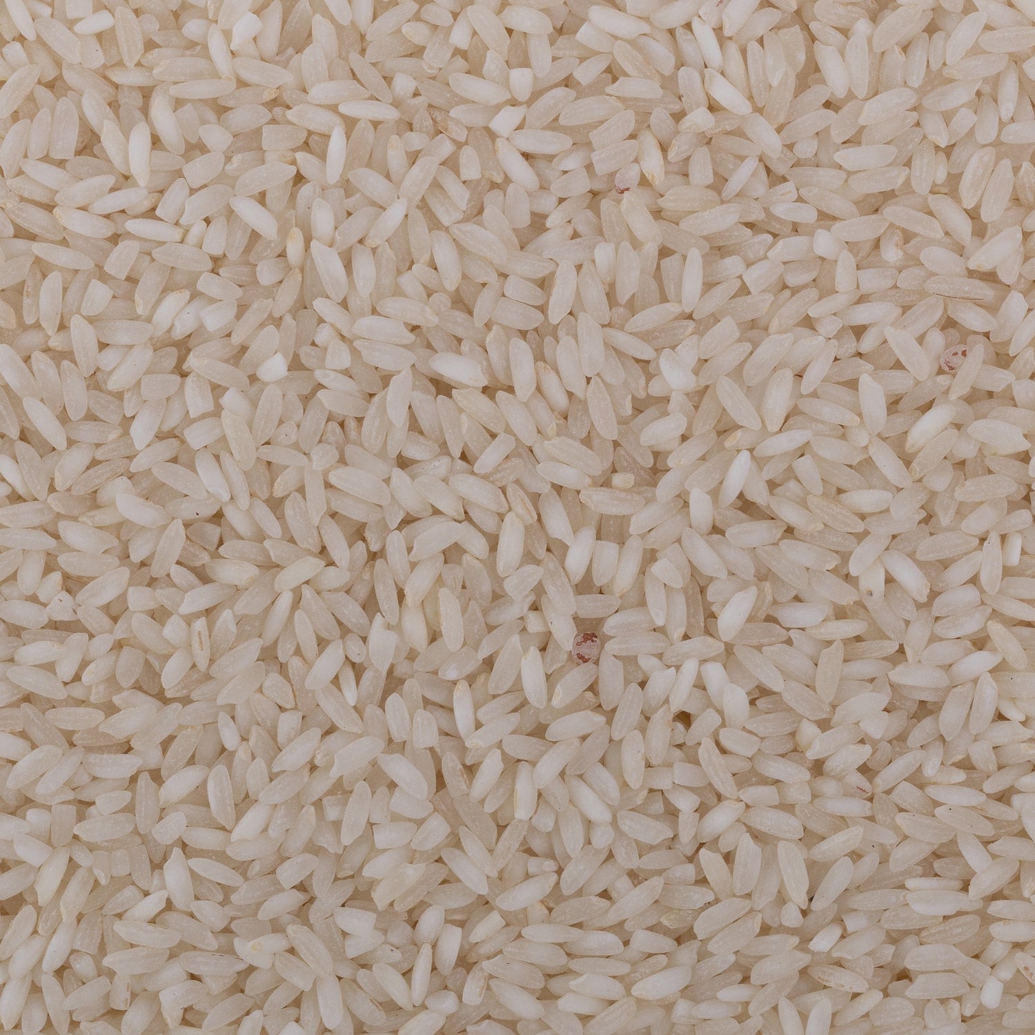 Surti Kolam Rice (Semipolished)