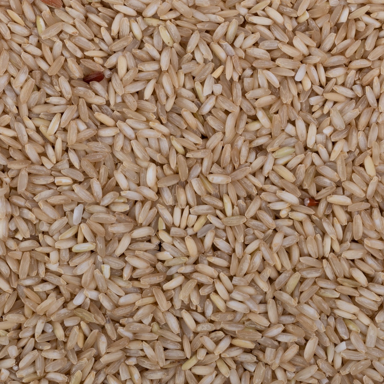 Surti Kolam Rice (Unpolished)