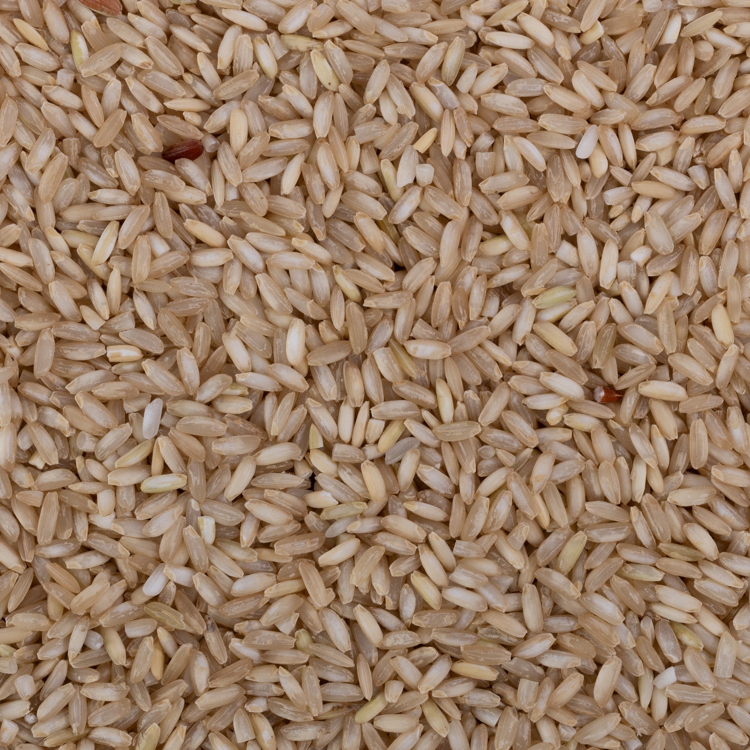 Surti Kolam Rice (Unpolished)