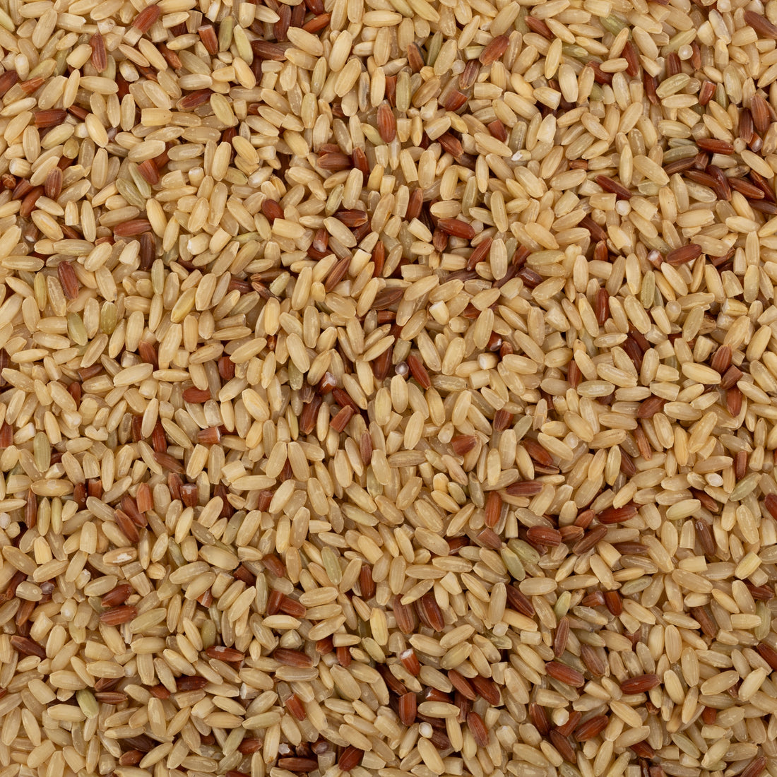 Tamkudiya Rice (Unpolished)