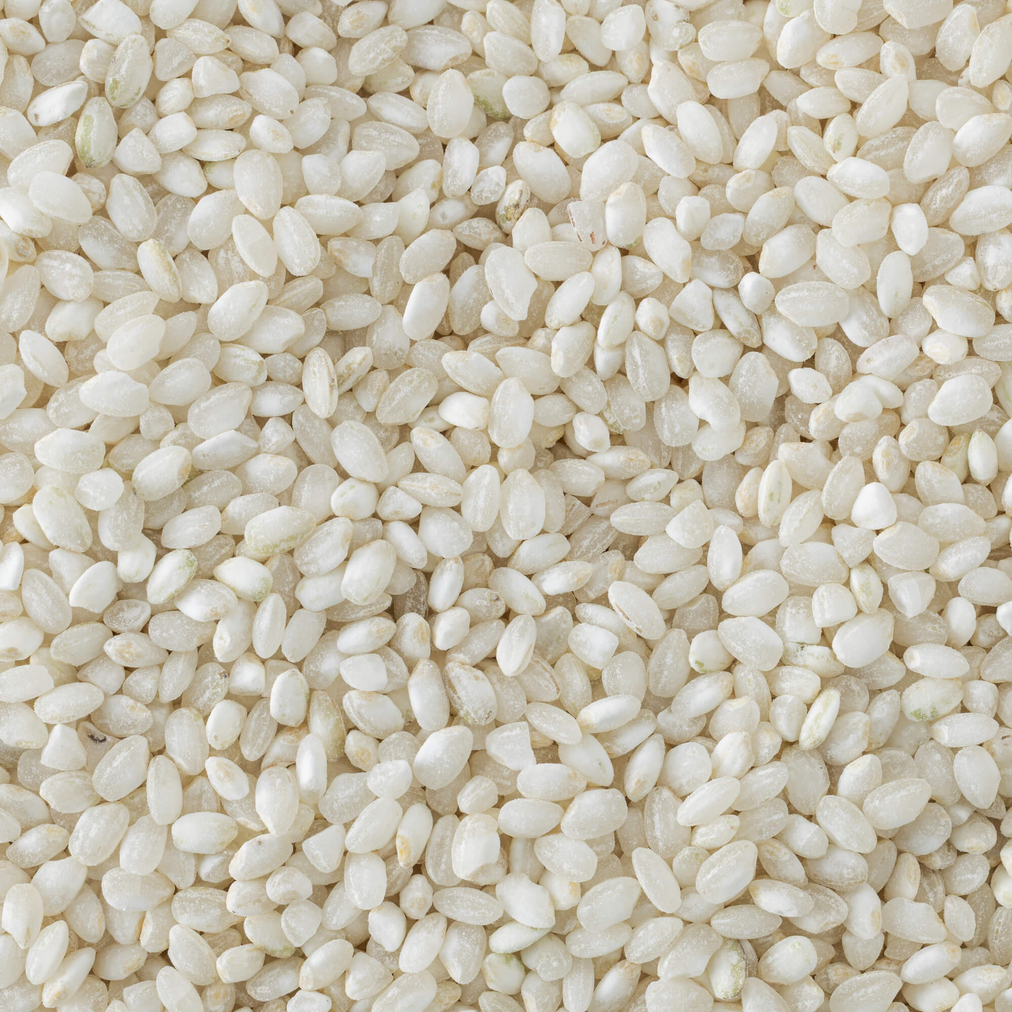 Tulshya Rice (Semipolished)/ तुळश्या – OOO Farms