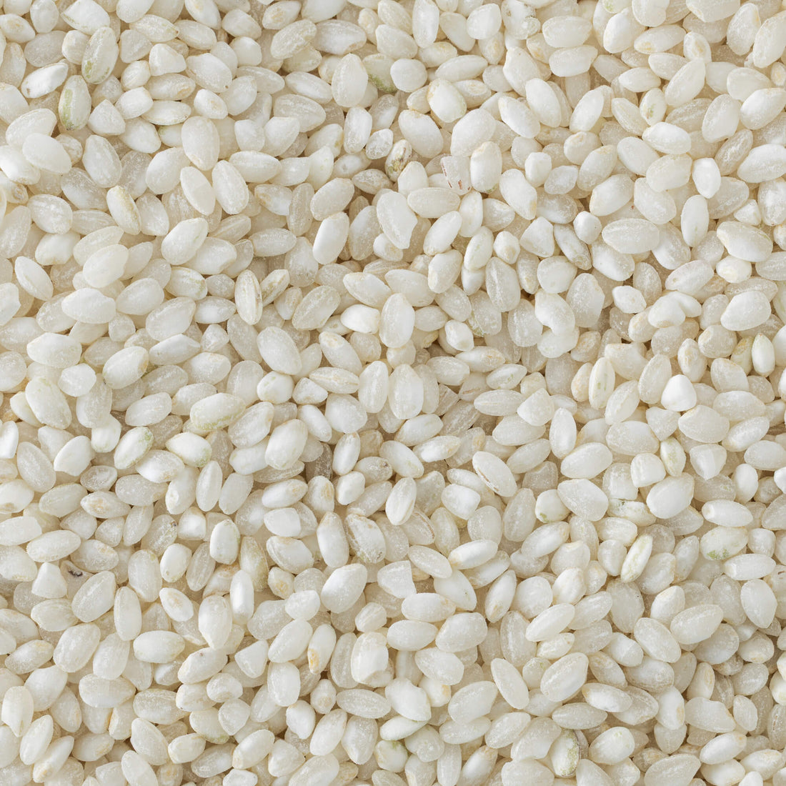 Tulshya Rice (Semipolished)/ तुळश्या