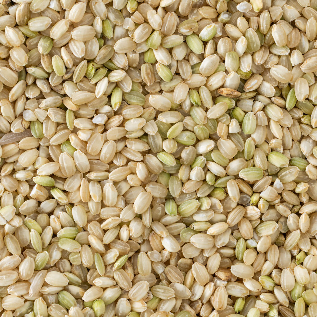 Tulshya Rice (Unpolished) / तुळश्या