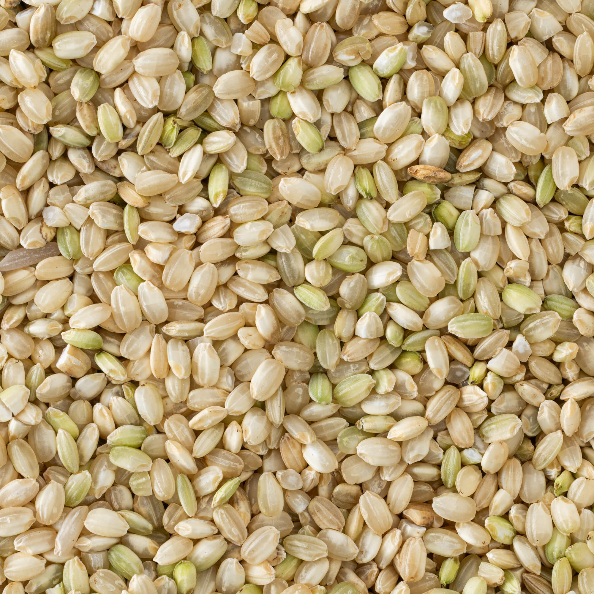 Tulshya Rice (Unpolished) / तुळश्या