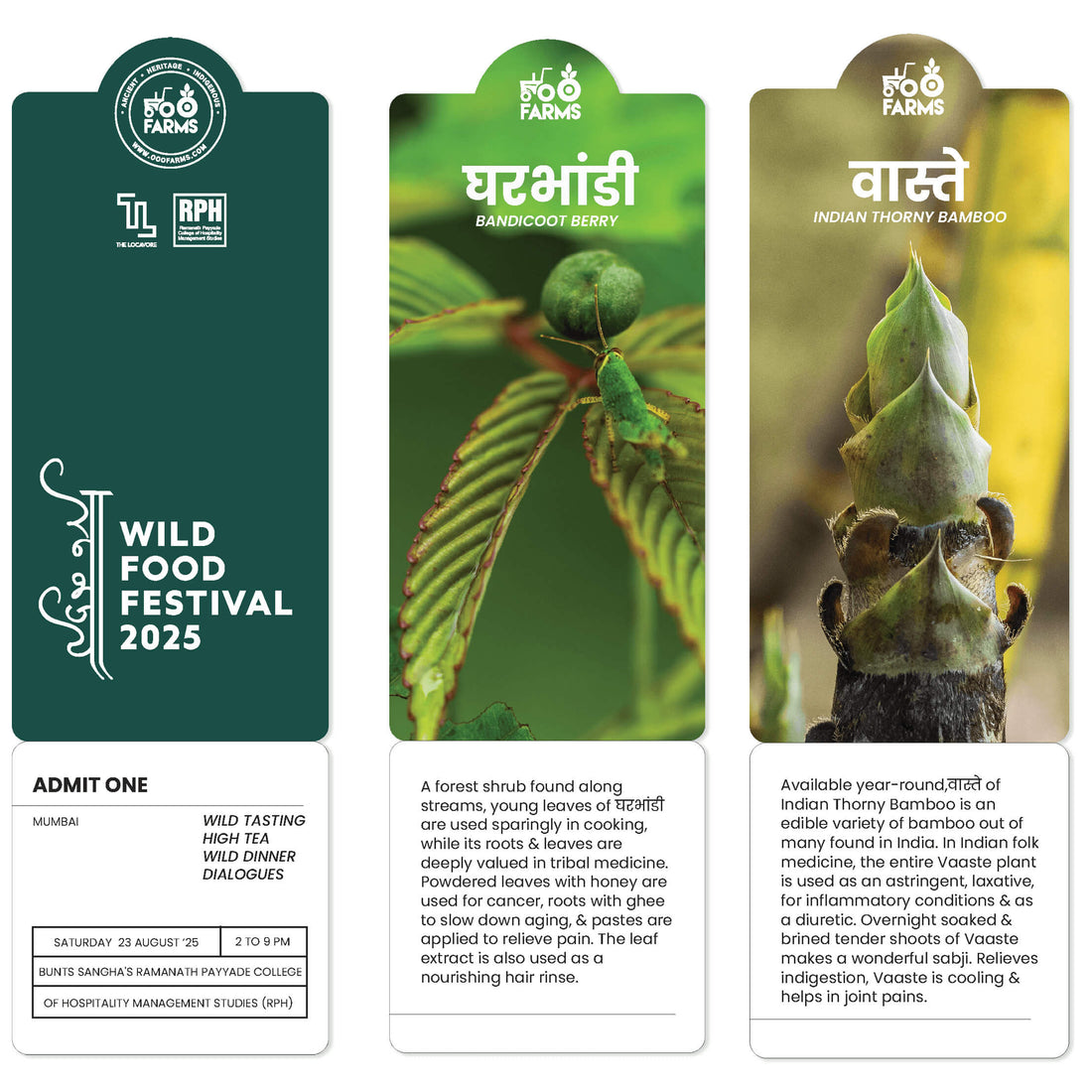 WILD FOOD FESTIVAL 2025