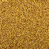 Yellow Sorghum / पिवळी जुवार