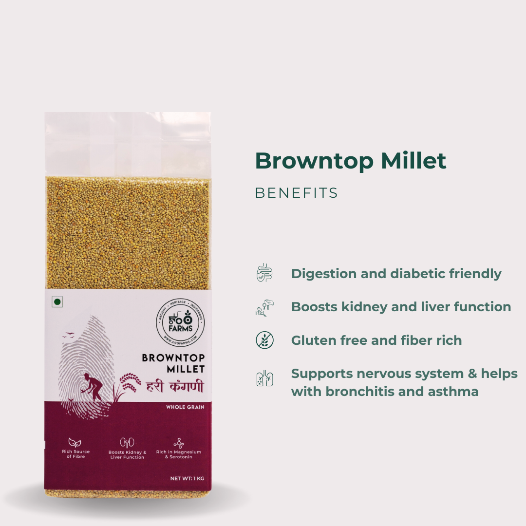 Browntop Millet
