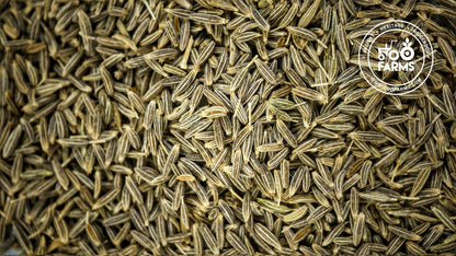 Jeera / Cumin / Desi Zeera / देशी जीरा