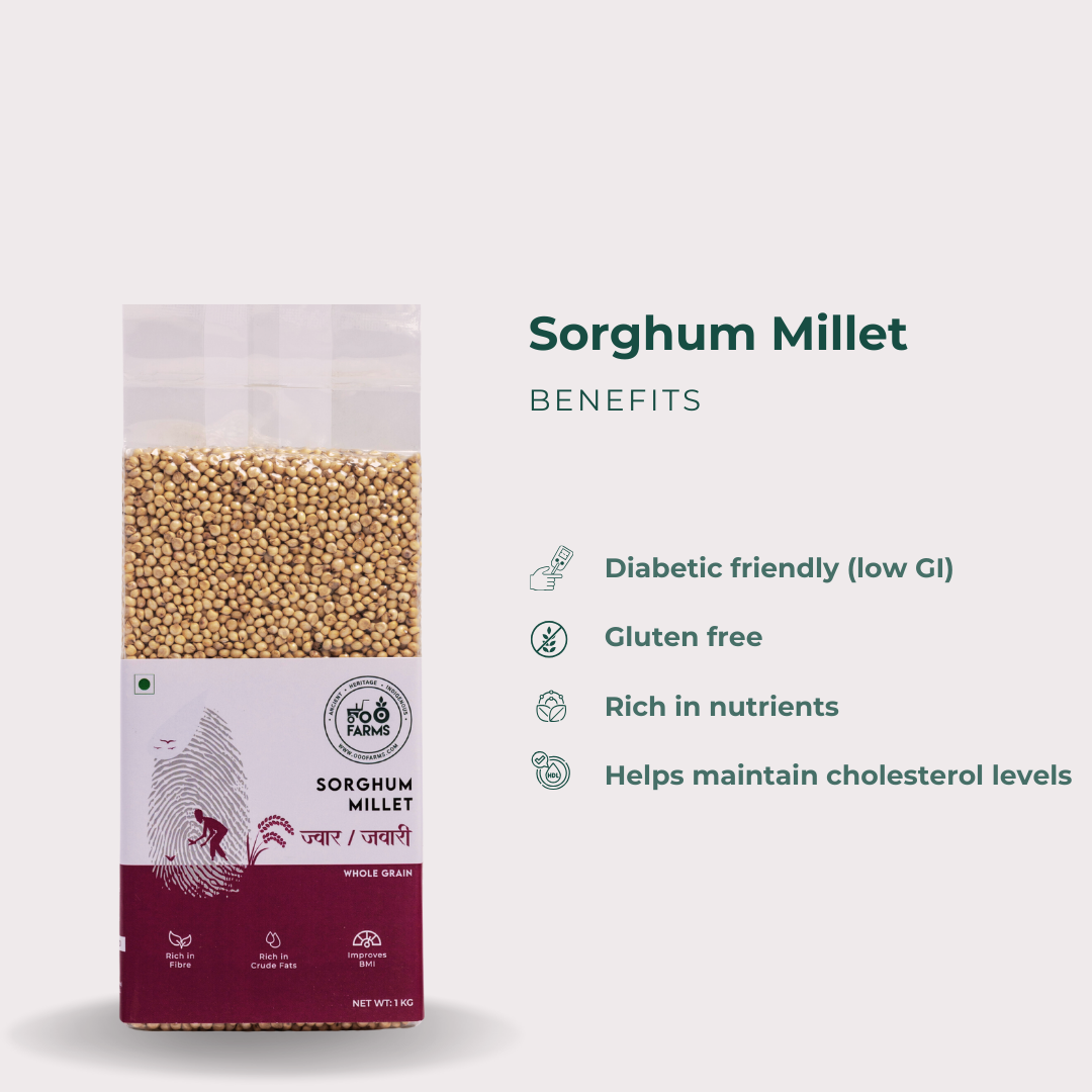 Dagdi Sorghum / Dagdi Jowar / दगडी जुवार