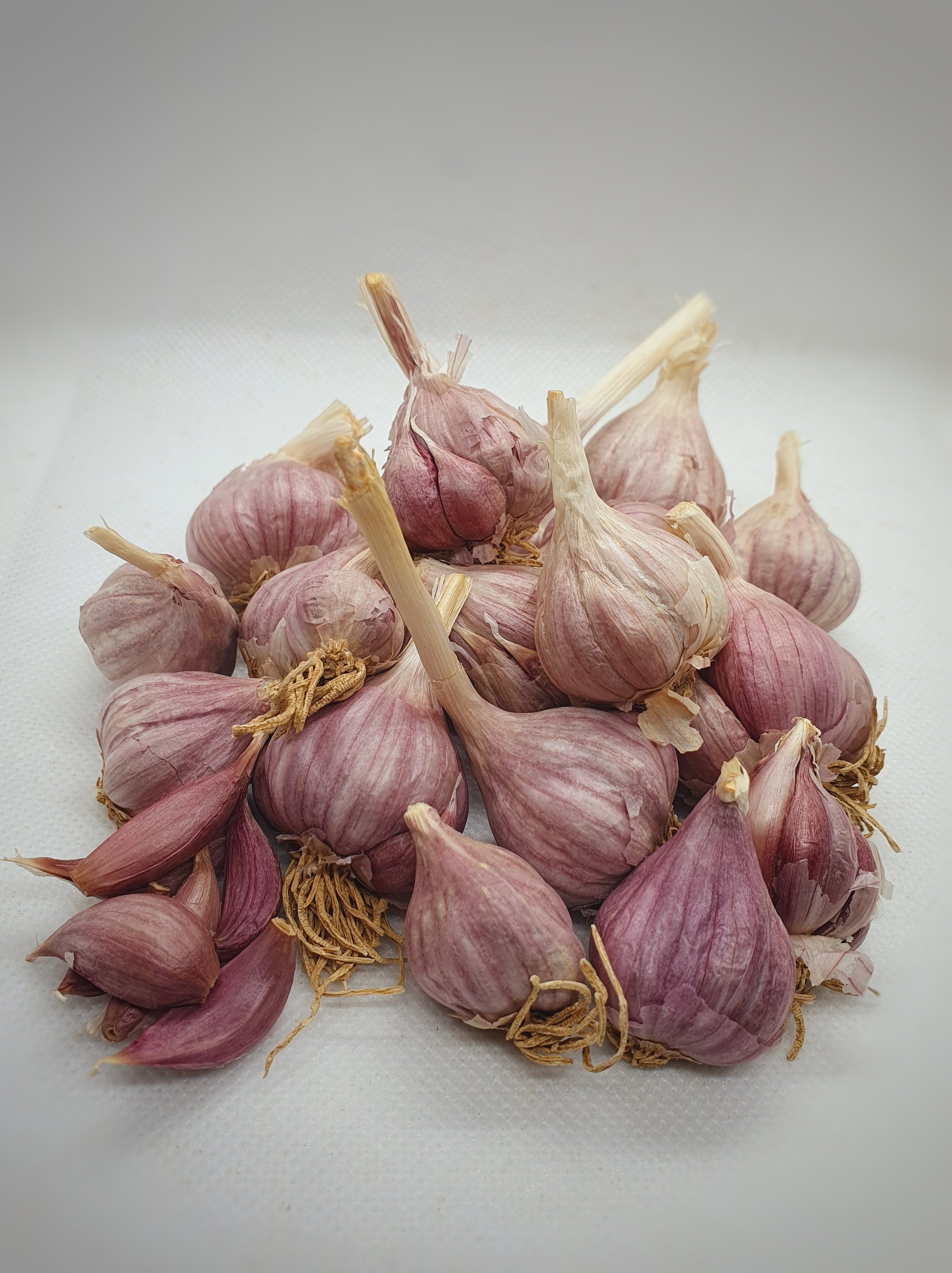 Native Pink Garlic / देशी गुलाबी लसूण