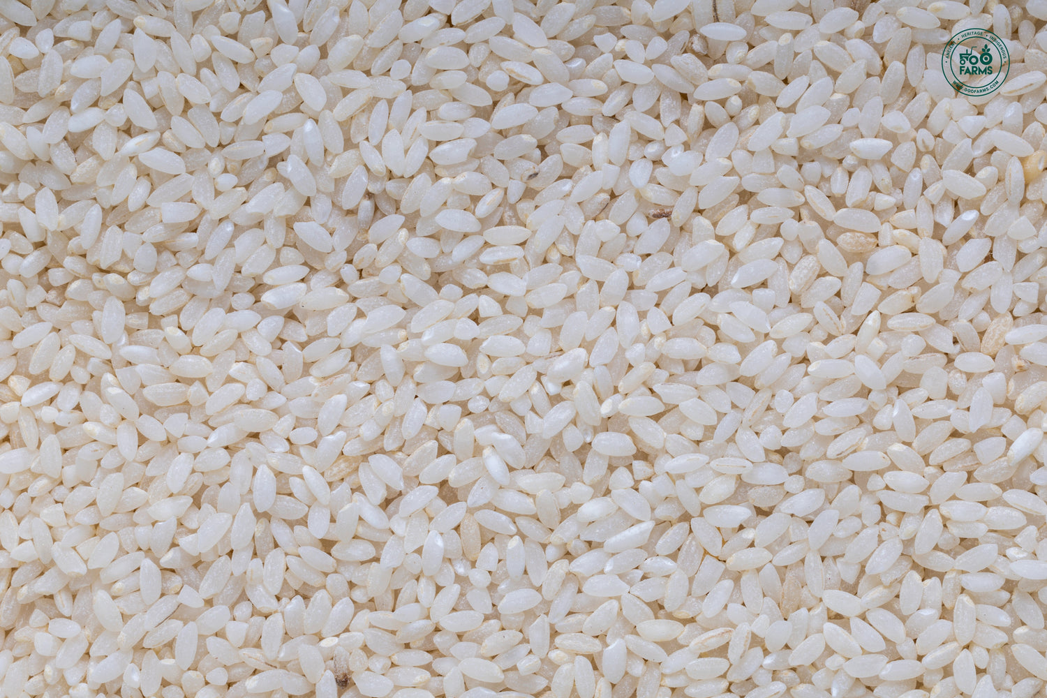 Ambi Moti Rice (Semi Polished) / आंबी मोती