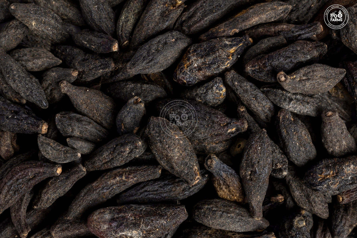 OOO Farms Bal Hirda Dried Fruit