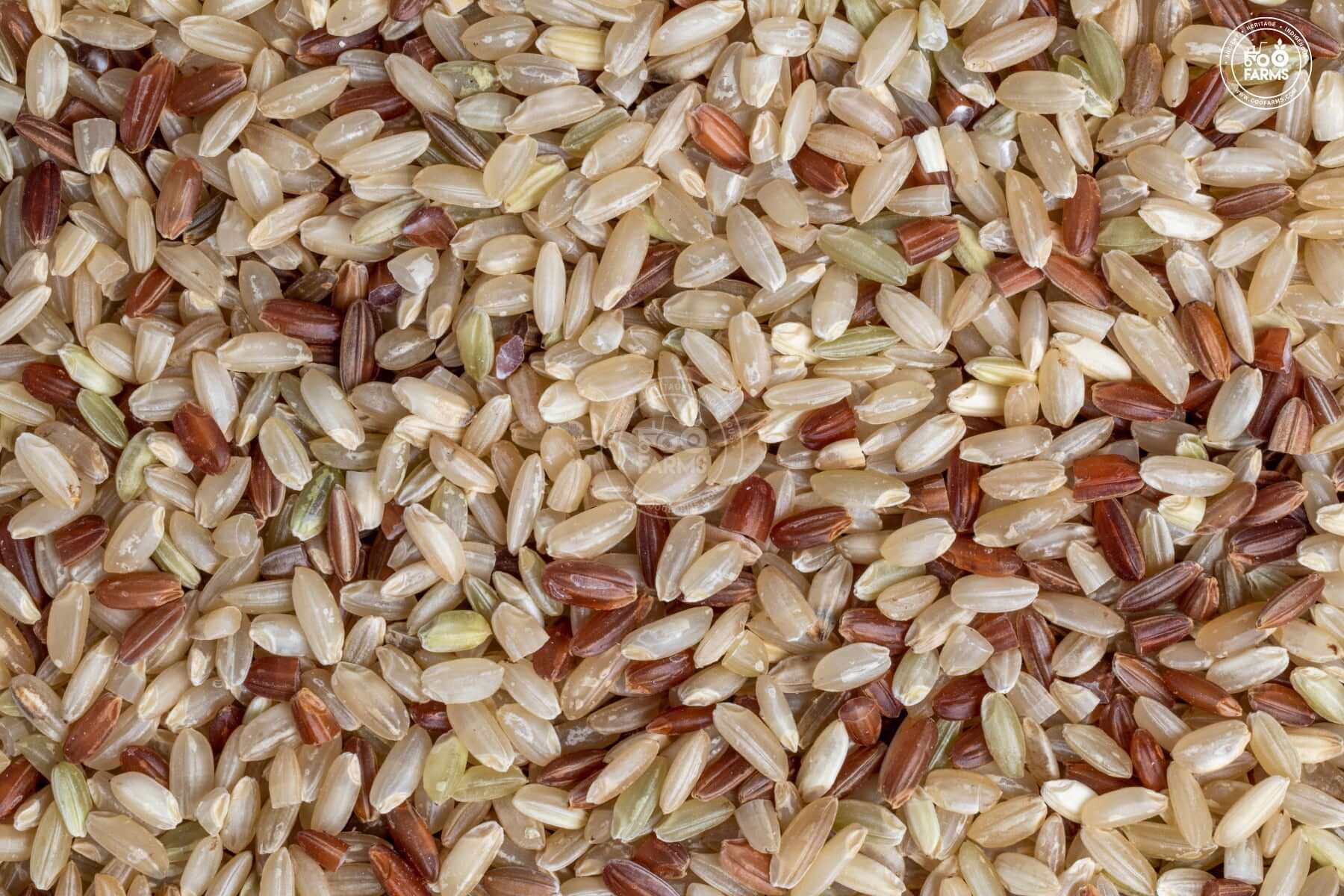 Balram Kamod Rice (Unpolished) – OOO Farms