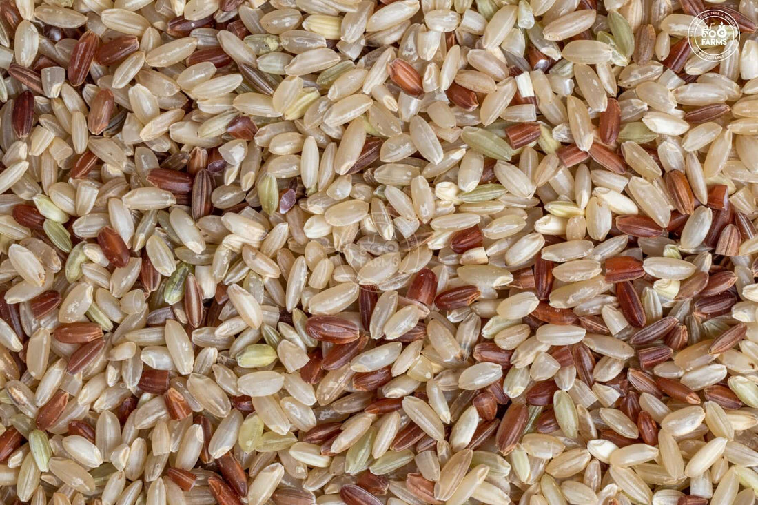 Balram Kamod Rice (Unpolished) OOO Farms Balram Kamod Rice (Unpolished)