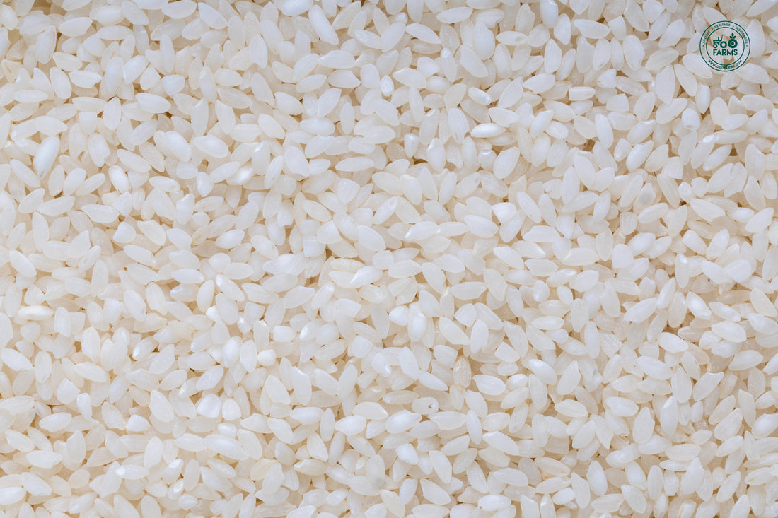 Black Jack Rice (Semi Polished) OOO Farms Black Jack Rice (Semipolished)