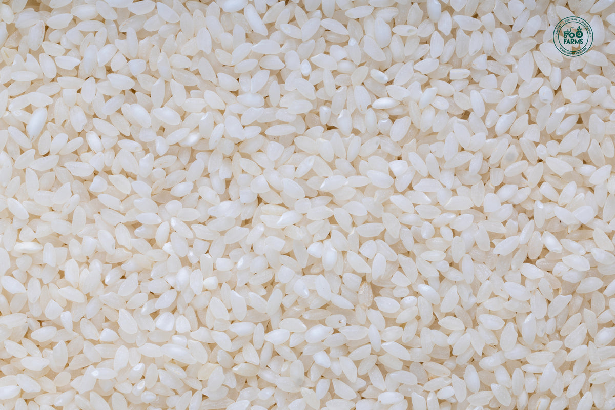 OOO Farms Black Jack Rice (Semipolished)