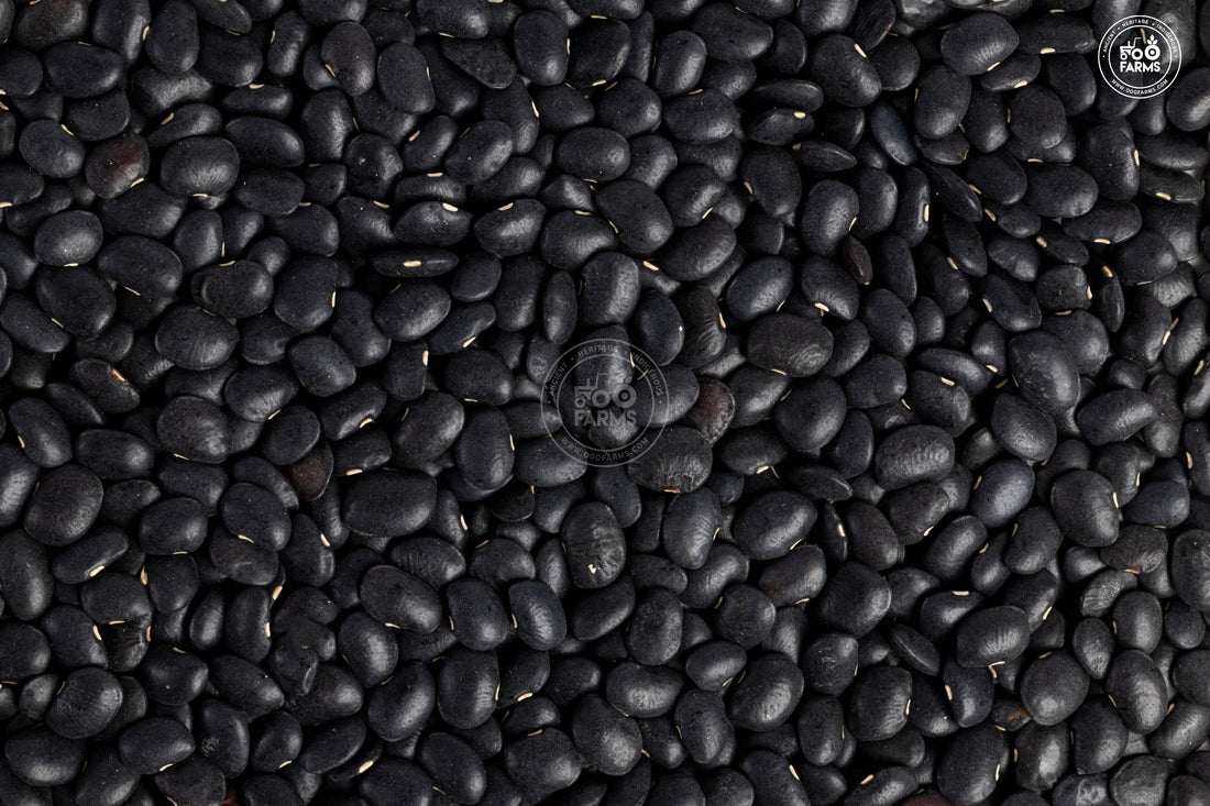 Whole Black Horsegram OOO Farms Whole Black Horsegram