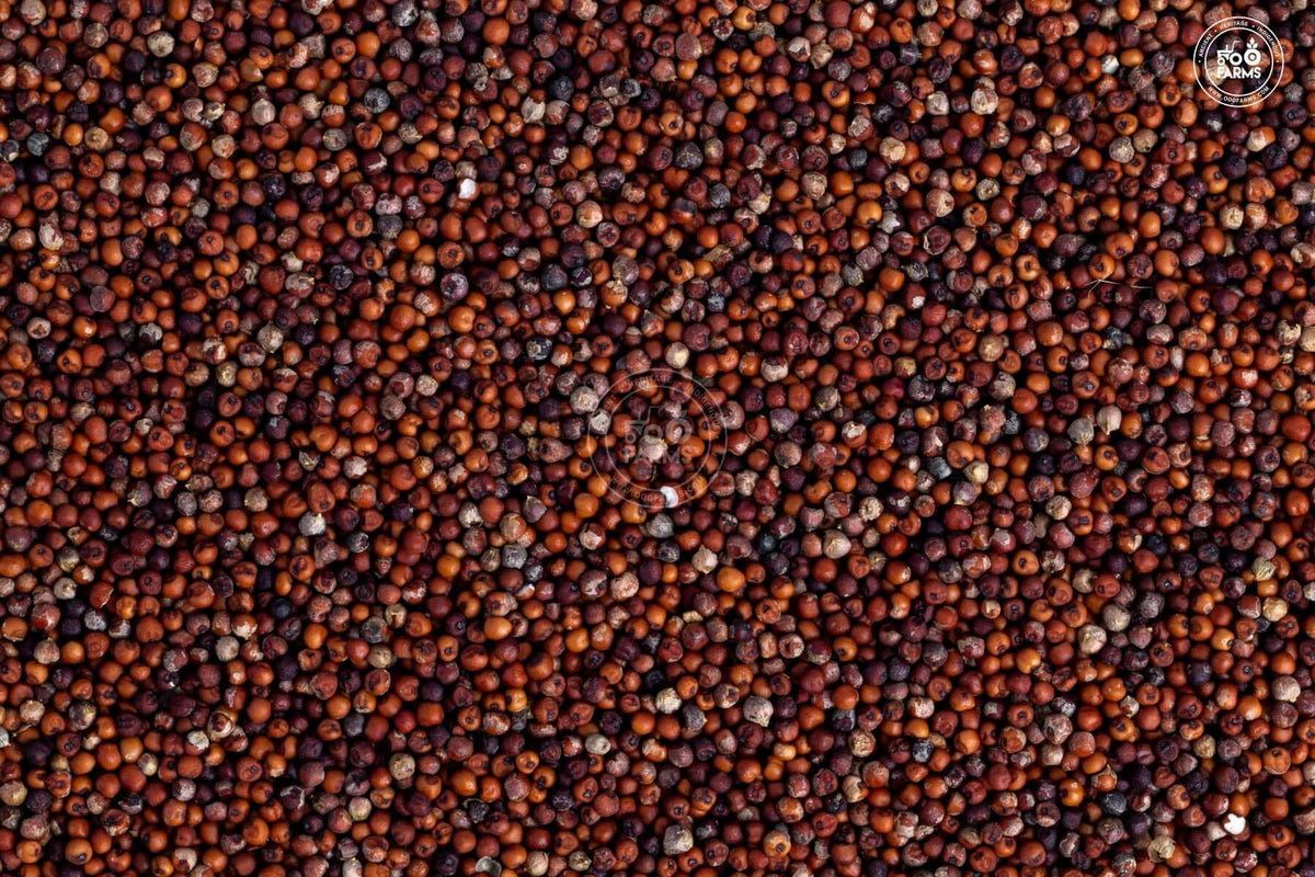 Whole Ragi Finger Millet / RAGI – OOO Farms