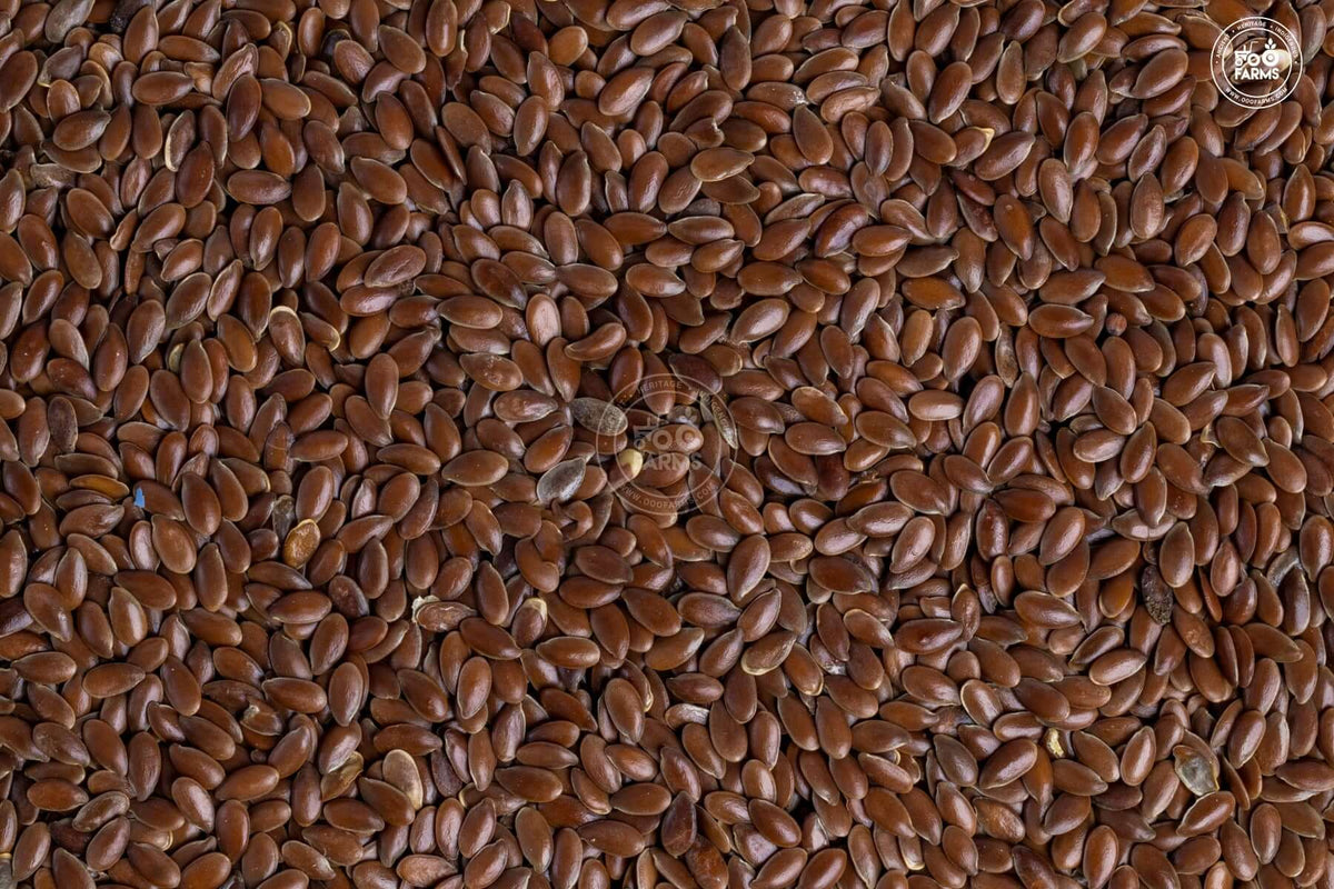 Flax Seed