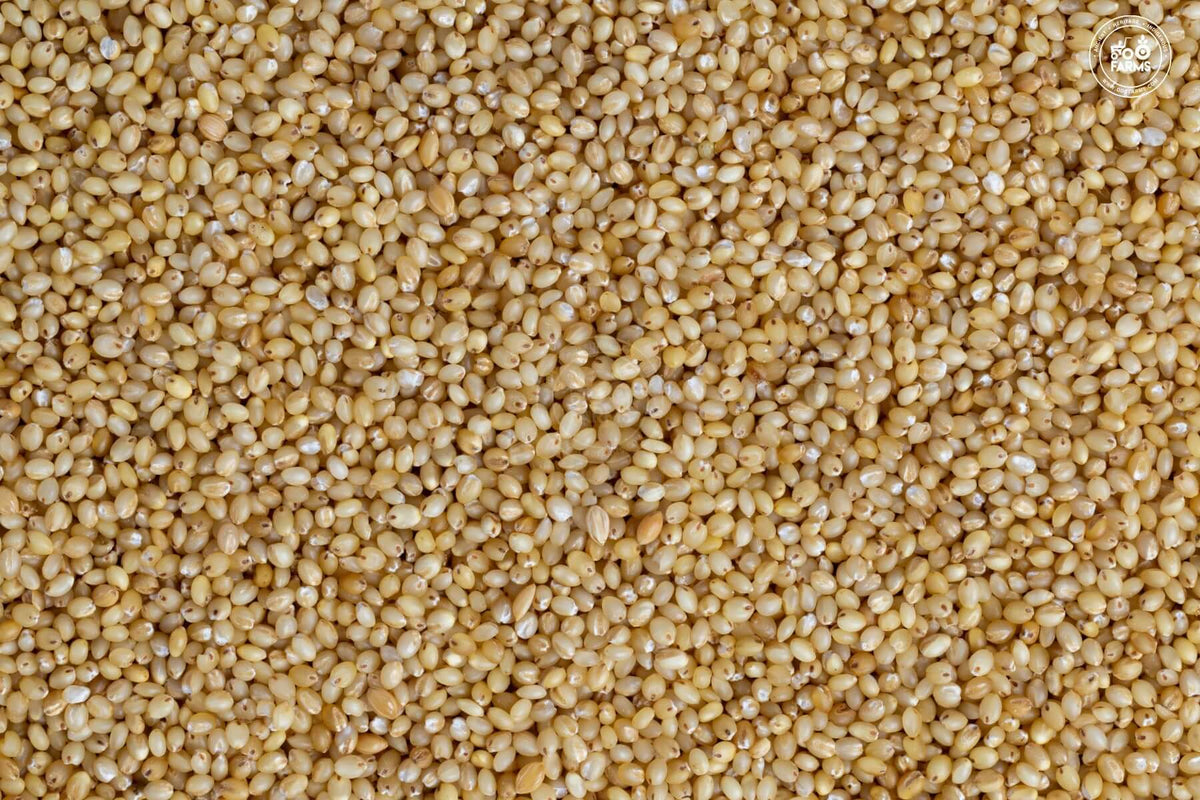 OOO Farms Foxtail Millet