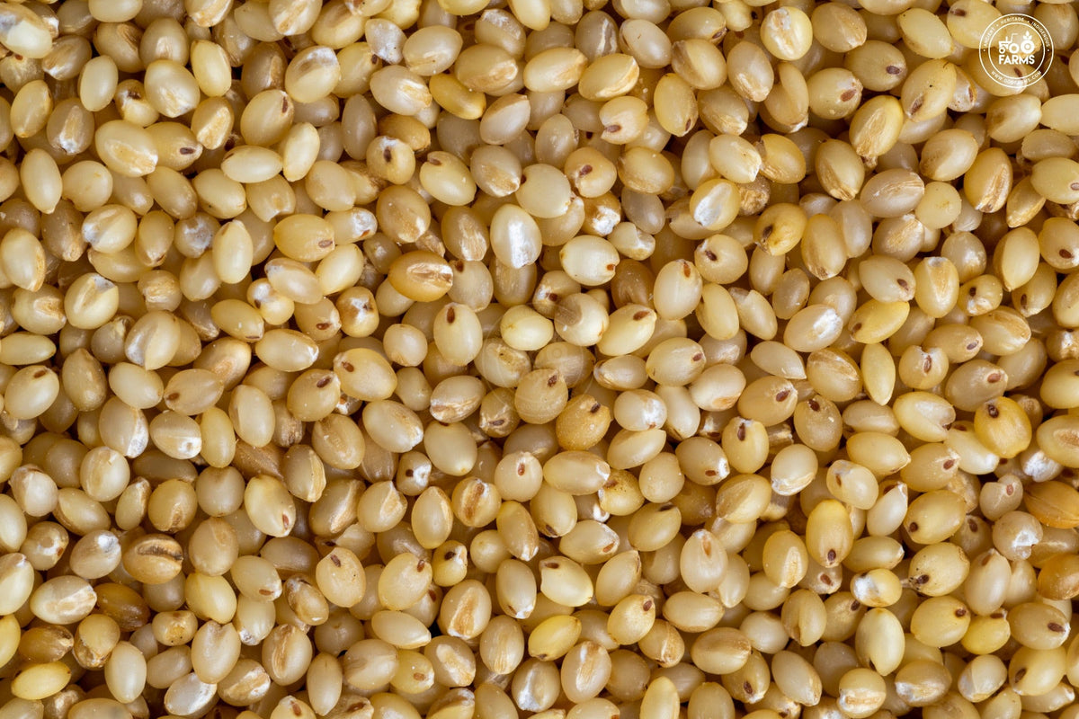 OOO Farms Foxtail Millet