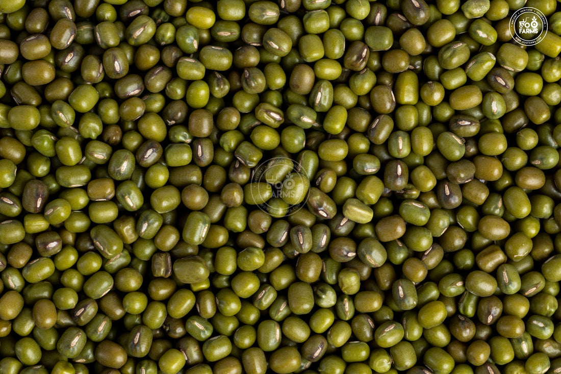 Whole Green Moong OOO Farms Whole Green Moong