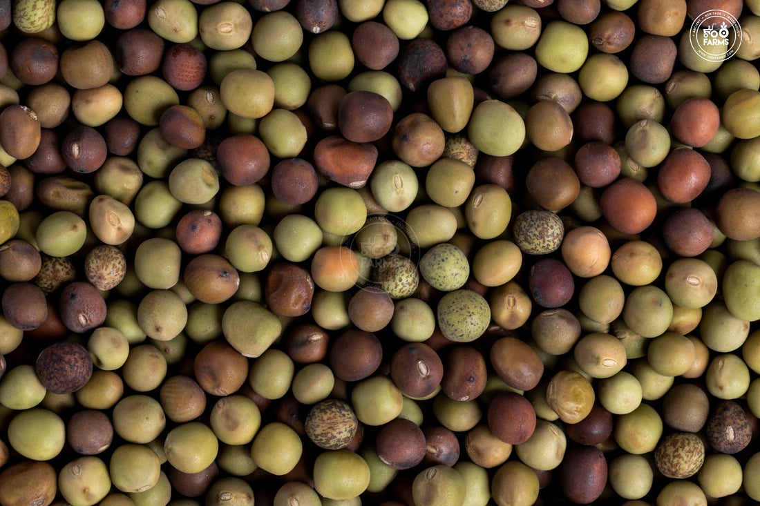 Whole Dongar Green Peas OOO Farms Whole Dongar Green Peas
