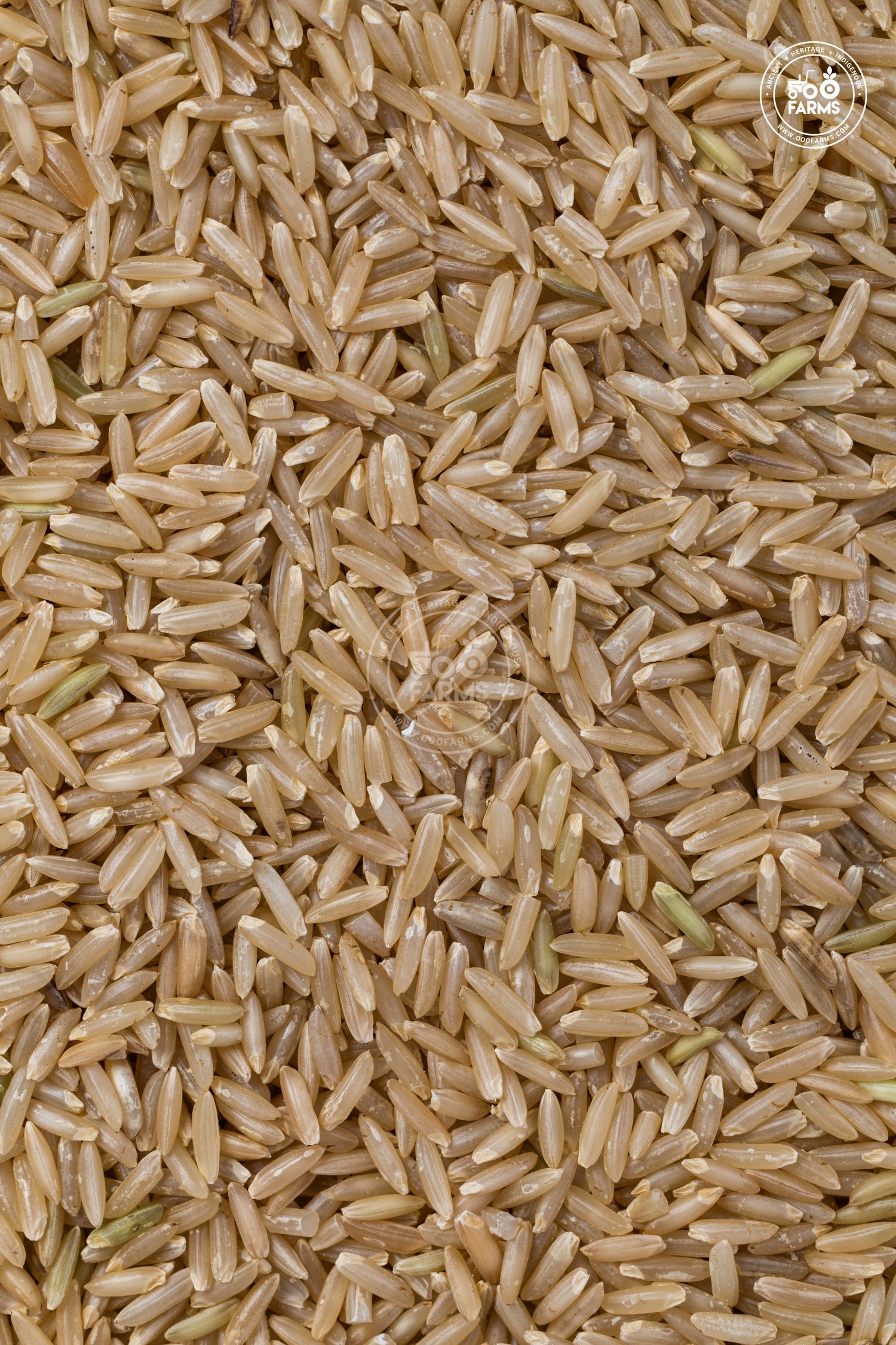 HMT Rice (Unpolished) / एच. एम . टी