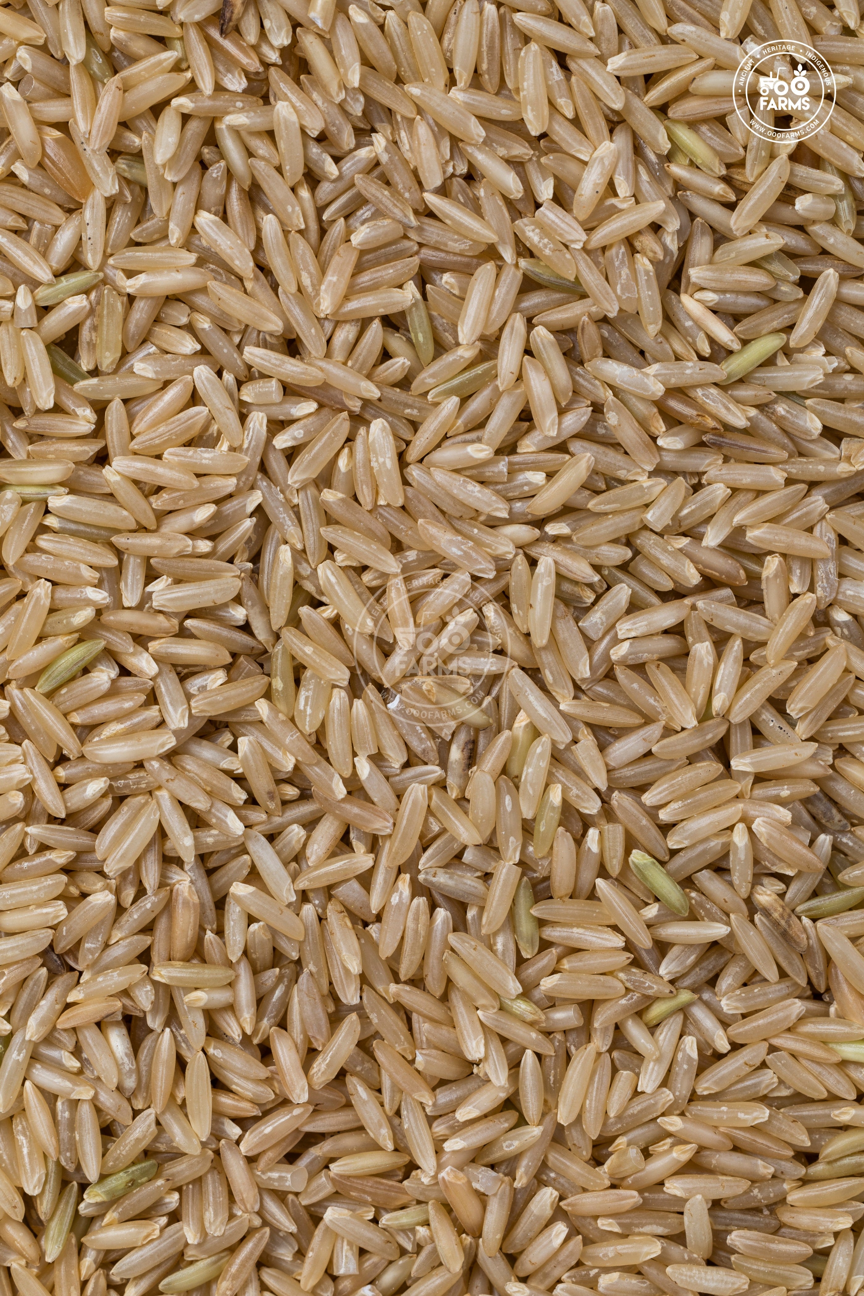 HMT Rice (Unpolished) / एच. एम . टी