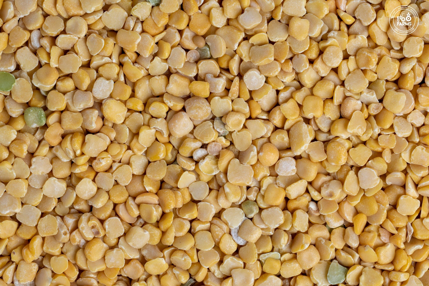 grass-pea-dal-khesari-dal-ooo-farms
