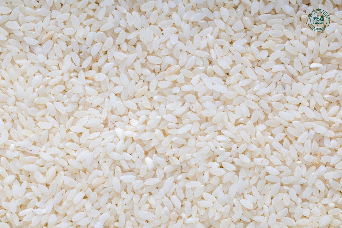 Kothimbir Sal Rice (Semi Polished) OOO Farms Kothimbir Sal Rice (Semipolished)