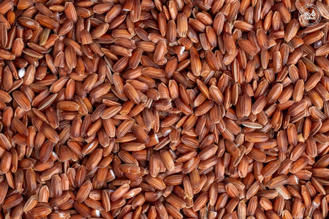 Njavara / Navara Rice (Unpolished) OOO Farms Njavara / Navara Rice (Unpolished)