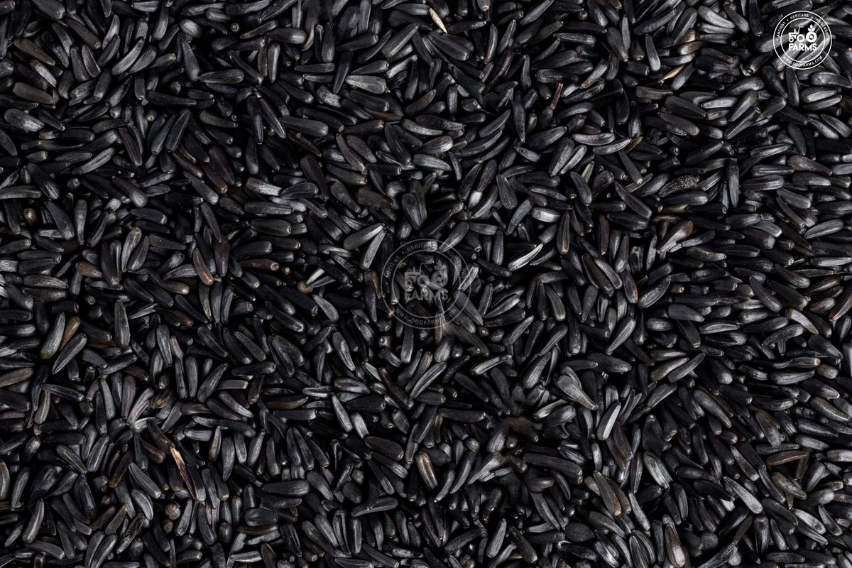 OOO Farms Niger Seeds