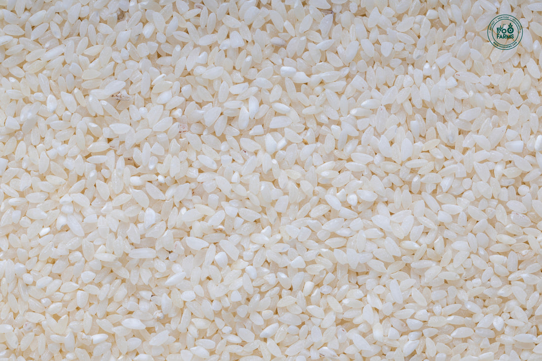 OOO Farms Ajara Ghansal Rice (Semipolished)