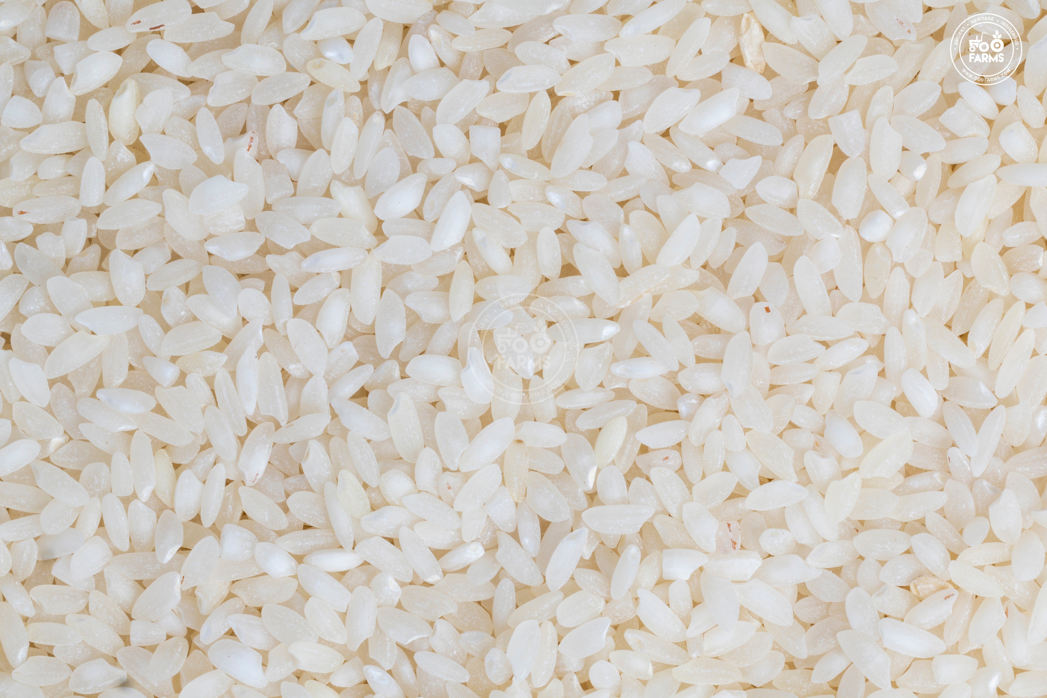 Ambemor Rice Ambemohar Rice (Semi Polished) – OOO Farms
