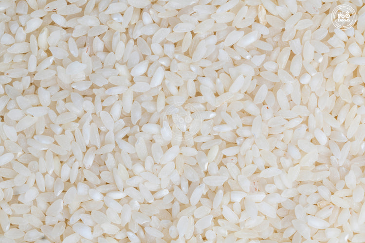 Rice – OOO Farms