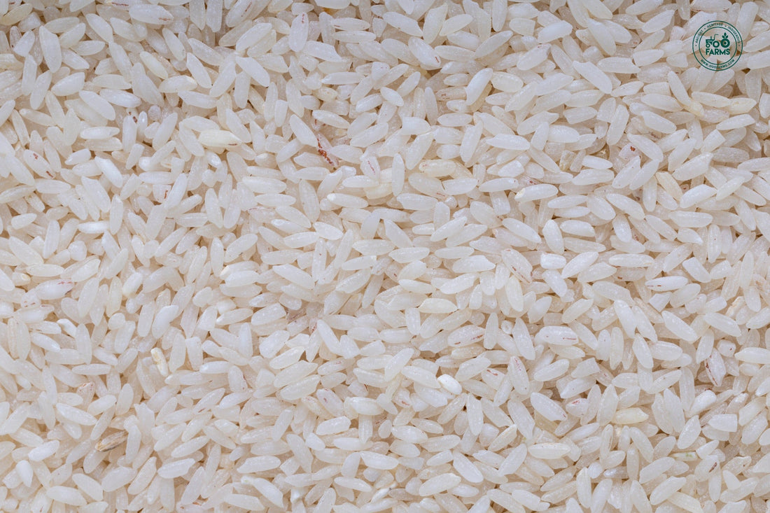 Rajghudiya Rice (Semi Polished) OOO Farms Rajghudiya Rice (Semipolished)