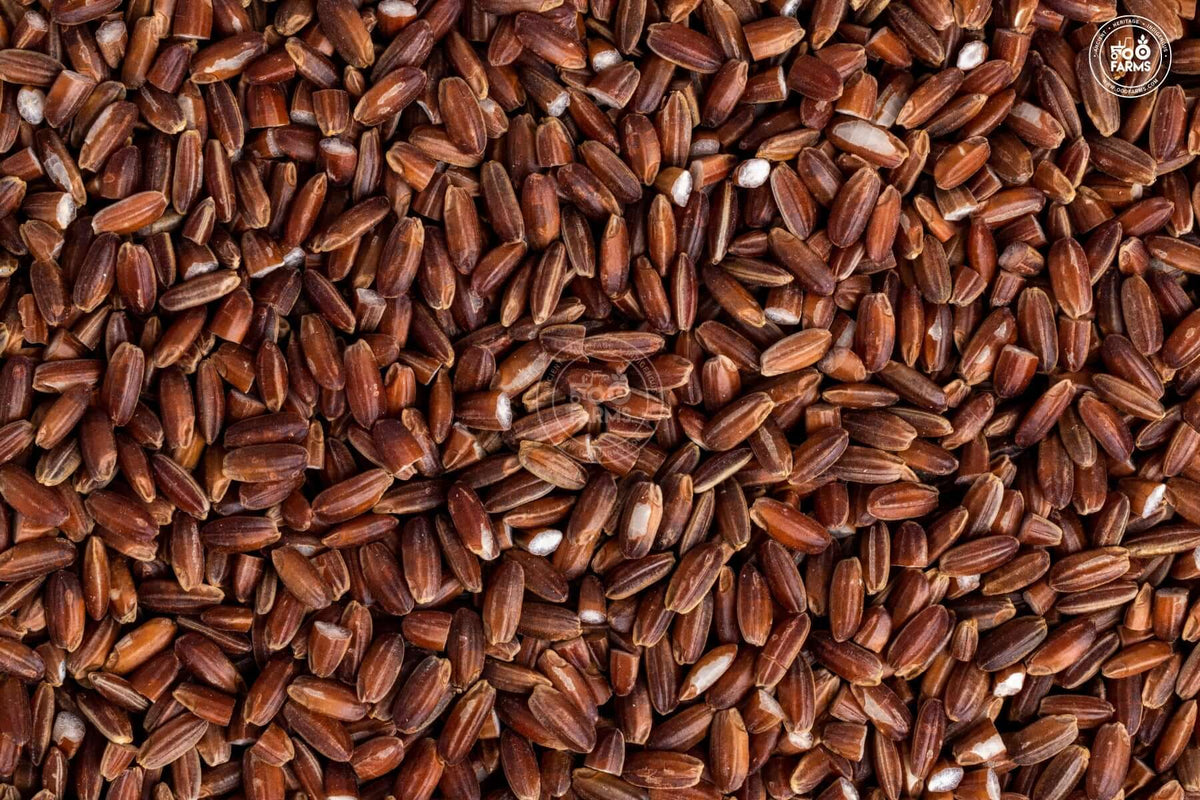 OOO Farms Raktashaali Rice (Unpolished) 