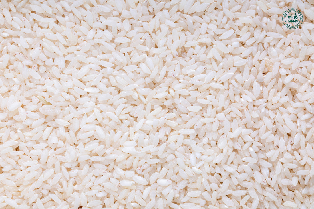 Royal 98 Rice (Semi Polished) / रॉयल ९८