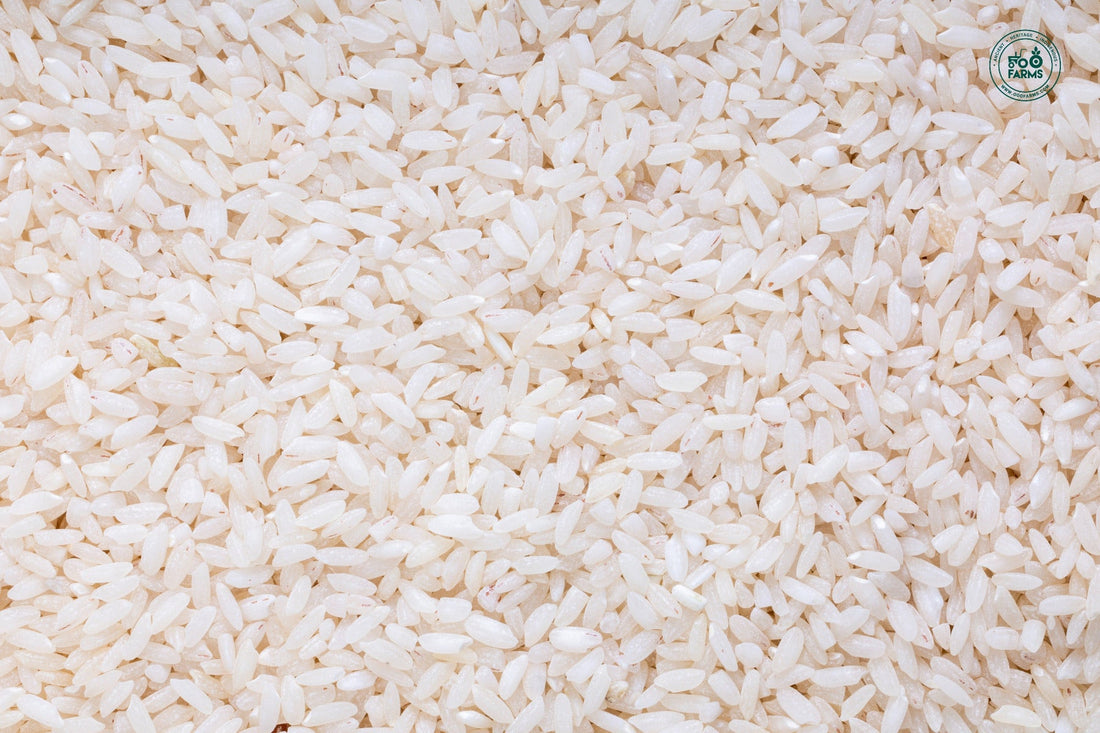 Royal 98 Rice (Semi Polished) OOO Farms Royal 98 Rice (Semi Polished)