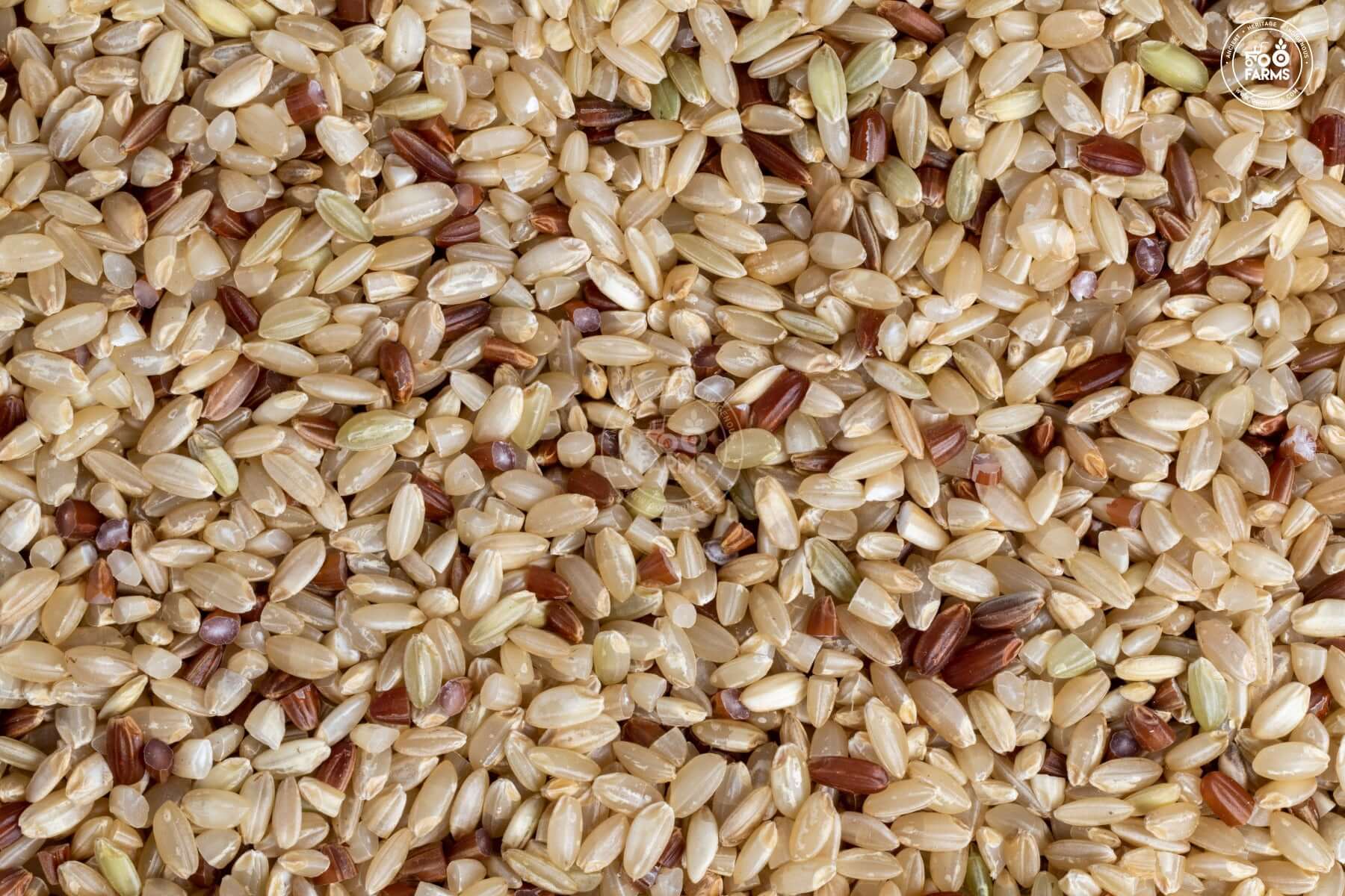 Sunbran Rice Royal 98 Rice (Unpolished) – OOO Farms
