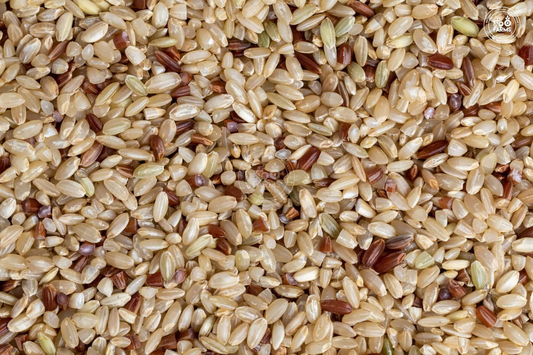Royal 98 Rice (Unpolished) OOO Farms Royal 98 Rice (Unolished)