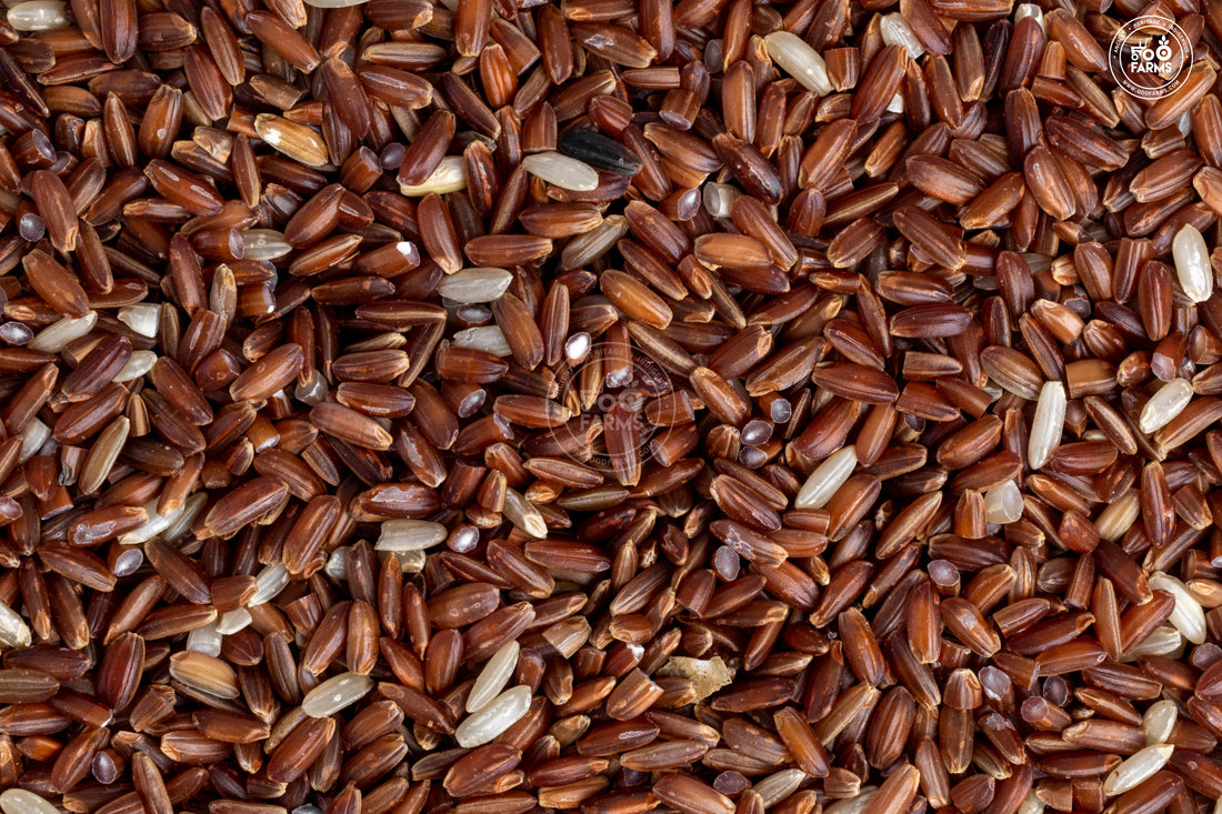 Royal Mysore Rice (Unpolished) / रॉयल म्हैसूर