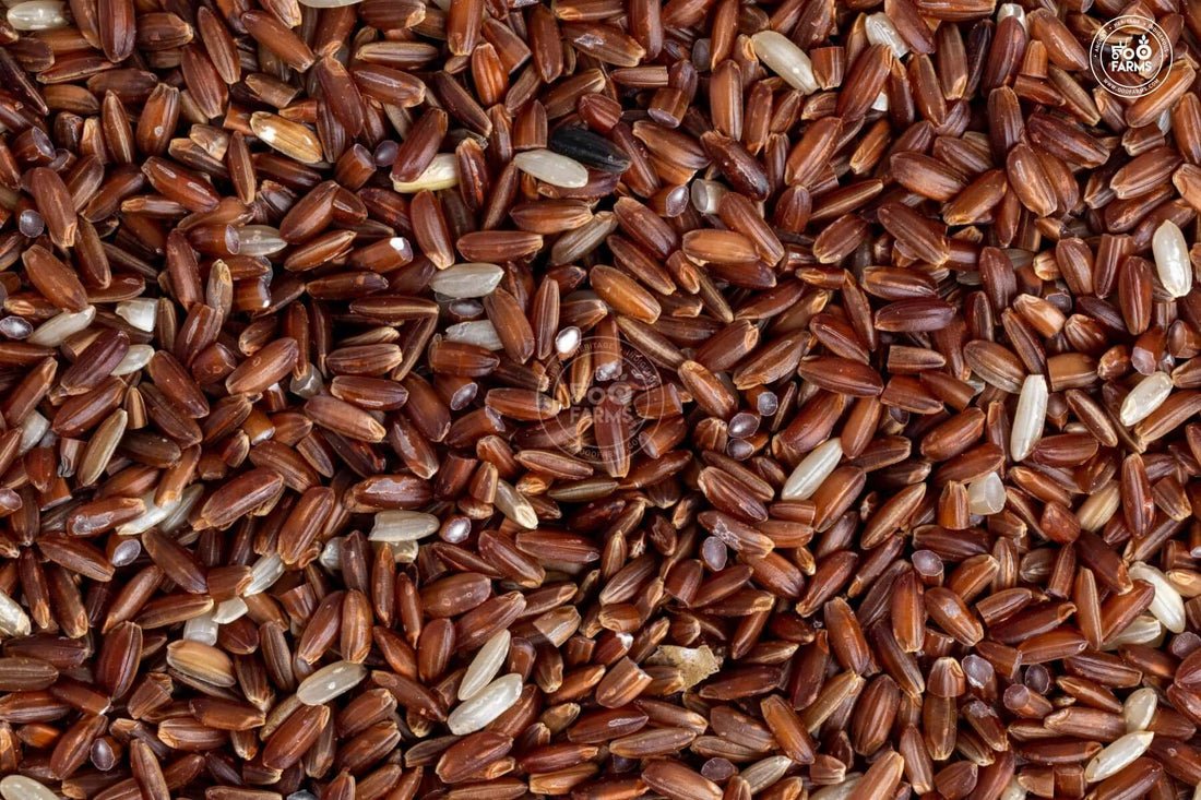 Royal Mysore Rice (Unpolished) OOO Farms Royal Mysore Rice (Unolished)