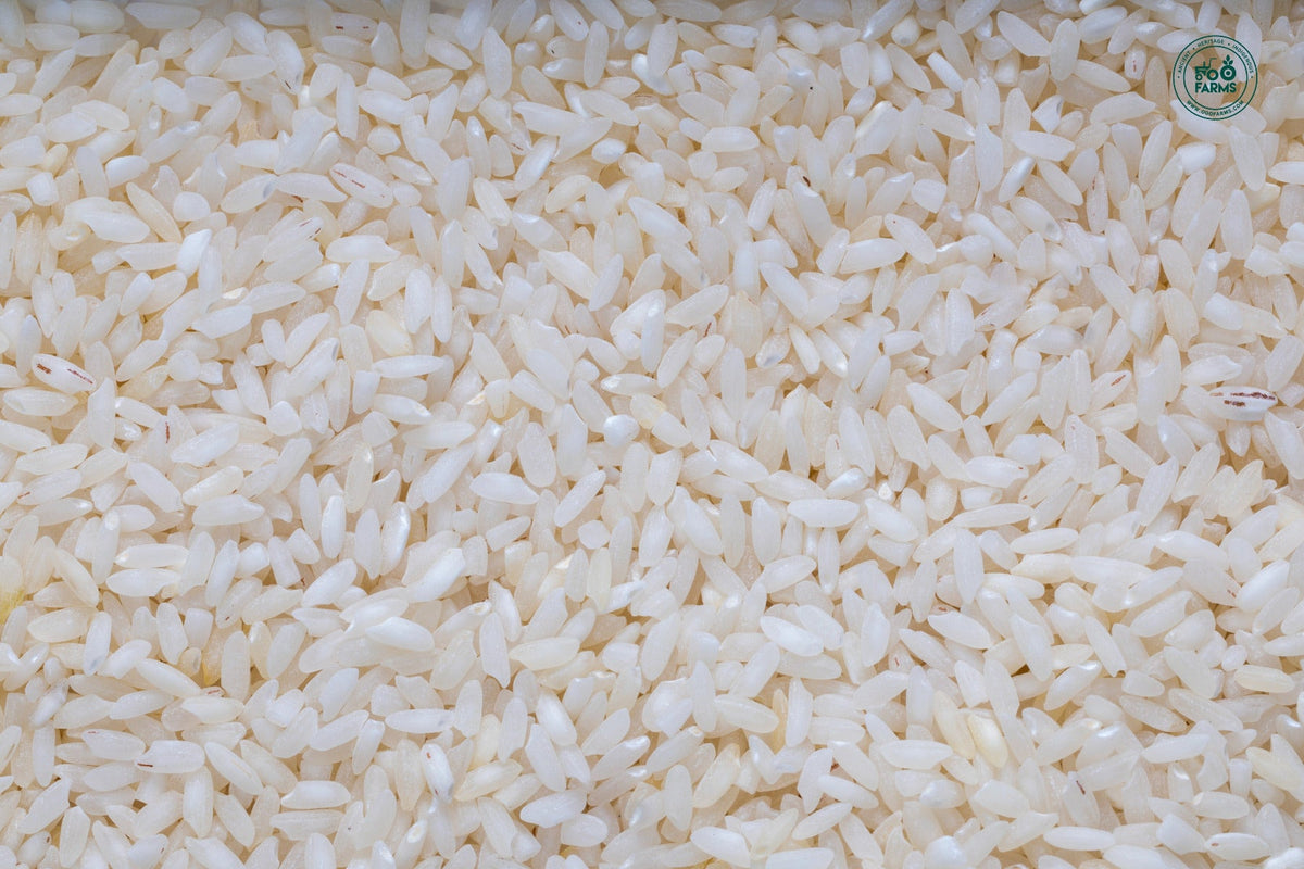 OOO Farms Sahyadri Royal Rice (Semipolished)