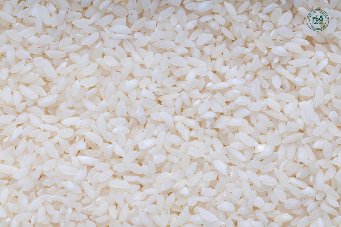 Sattaone Rice (Semi Polished) OOO Farms Sattaone Rice (Semi Polished)