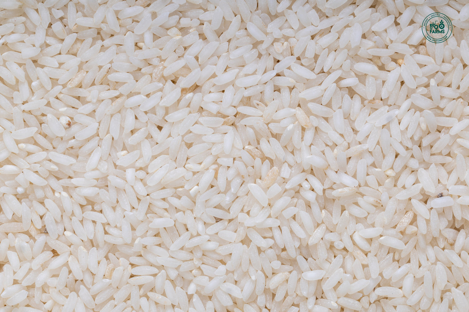 Siddhasanna Rice (Semi Polished) / सिद्धसंना